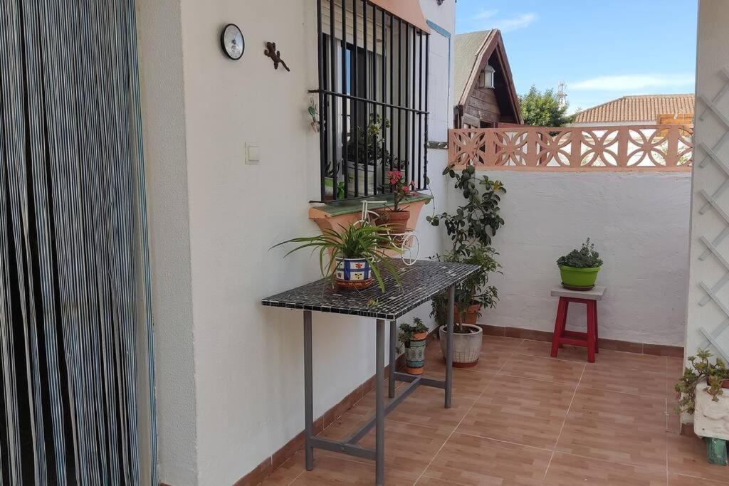 Vila Casa Con Piscina Privada Y Jardin Chiclana de la Frontera Exteriér fotografie