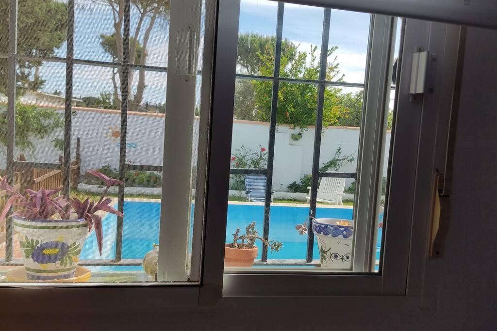 Vila Casa Con Piscina Privada Y Jardin Chiclana de la Frontera Exteriér fotografie