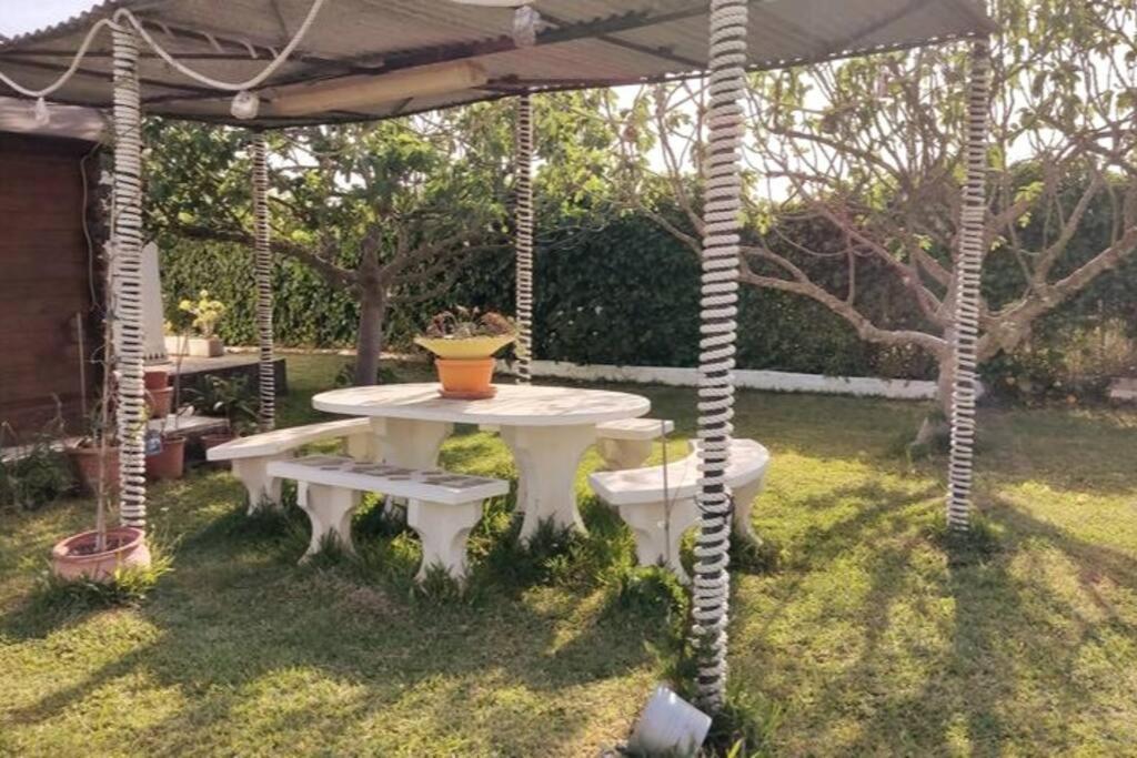 Vila Casa Con Piscina Privada Y Jardin Chiclana de la Frontera Exteriér fotografie